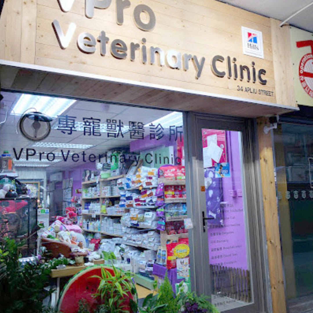 專寵獸醫診所 VPro Veterinary Clinic