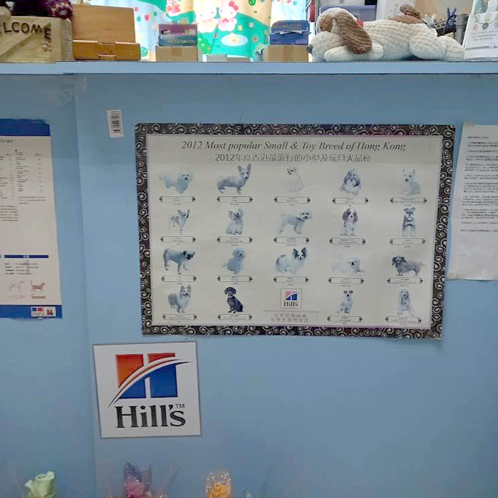 雅發動物診所 Alpha Vet Clinic