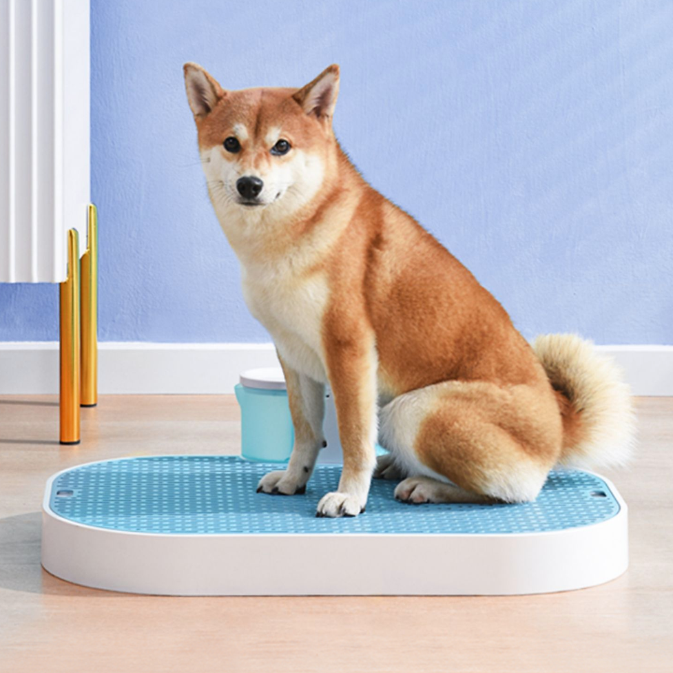 Smart dog toilet