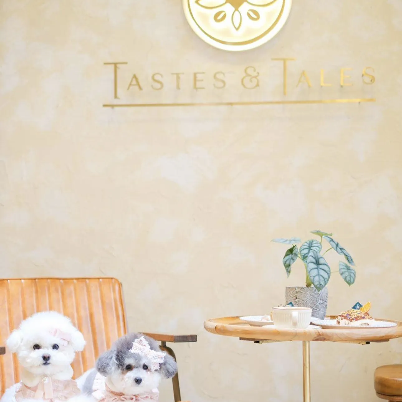 Tastes & Tales
